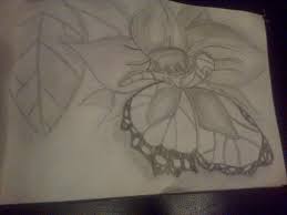 Butterfly is a popular drawing idea and it is loved for its cute shape and colorful wings as well as its symbolic meanings. Pencil Butterfly On Flower Drawing By Danielazz56 Dragoart Com