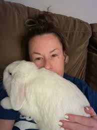 Tips for removing cat pee smell from sofa cushions