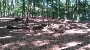 Udenhout is a village and a former municipality in the dutch province of north brabant. De Brand Foto Van De Brand Udenhout Tripadvisor