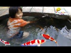 Gratis untuk komersial tidak perlu kredit bebas hak cipta. Youtube Kolam Renang Kolam Mainan Anak