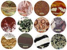Black And White Spotted Gemstone Jasper Means Spotted Or Speckled Stone Jasper Is An Opaque Form Of Chalcedony Which Is A Micro Crystals And Gemstones Stones And Crystals Gems And Minerals