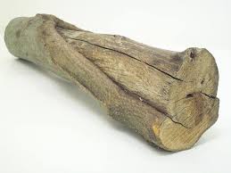 Hornbeam Woodhornbeam Lognatural Wood Wood Sculpturenature Etsy Nature Decor Diy House Projects Wood Sculpture