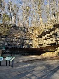 Dunbar cave is a remarkable prehistoric site, not just for tennessee but for the entire eastern woodlands. It S A Beautiful Time Of Year To Visit Dunbar Cave State Park Enjoy A Short But Scenic Hike Take A Cave Tour May Aug Picnic Or Just Enjoy The Wildflowers And Wildlife