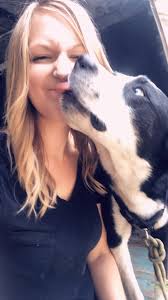 My favourite guy at the shop 🖤 #rustvalleyrestorers #rustbros #shopdog