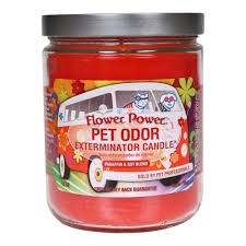 The best value in odour eliminating products. Flower Power Pet Odor Exterminator Candle 13 Oz