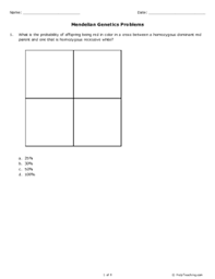 .non mendelian genetics, lecture activity, genetics practice problems work key, mendelian genetics problems, study of mendelian and non mendelian inheritance pattern, incomplete and codominance work name, mendelian genetics work. Mendelian Genetics Problems Grade 10 Free Printable Tests And Worksheets Helpteaching Com