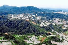 Peningkatan suhu bandar akibat pemanasan global dan fenomena pulau haba dijangka berupaya membawa implikasi buruk kepada komuniti bandar di malaysia. Peningkatan Suhu Di Cameron Highlands Semasa Mstar
