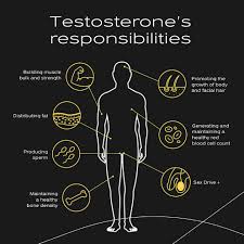 Testosterone Levels By Age: What's Normal?