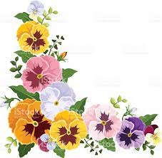 Pansy Flower Clip Art Vector Images Illustrations Istock Flower Illustration Pansies Art Pansies Flowers