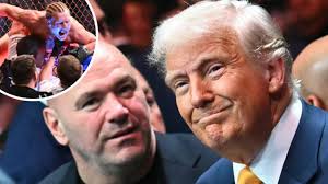 Cricket Far North wrap, week 8: Reports from every CFN grade