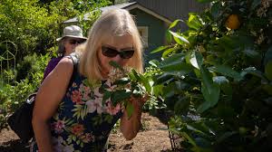 55 south grand avenue, pasadena, ca 91105 directions. South Pasadena Beautiful Garden Tour Residents Opened Their Homes For Annual Showcase The South Pasadenan South Pasadena News