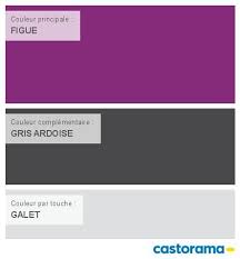 Castorama Nuancier Peinture Mon Harmonie Peinture Figue Satin De Tollens Cuisine Salle De Bains Nuancier Peinture Nuancier Castorama
