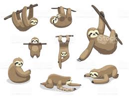 Animal Character Eps10 File Format Sloth Drawing Sloth Art Sloth Cartoon