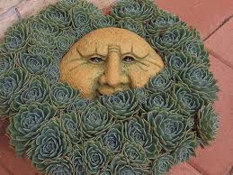 Ginny Cates-Fogelberg (ginfogel57)