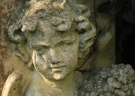 Organizations & Committees