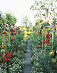 The Top 10 Gardening Trends For 2014 Plants Beautiful Gardens Vegetable Garden
