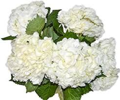 Sitewide sale · flowers from $19.99 · satisfaction guaranteed Amazon Com Fresh Cut Flowers Birthday Fresh Cut Flowers Fresh Flowers Live Indoor P Grocery Gourmet Food