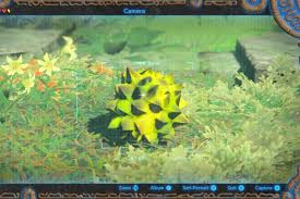 Zelda Breath Of The Wild 5 Tips For The Advanced Adventurer Breath Of The Wild Zelda Breath Of Wild Zelda Breath