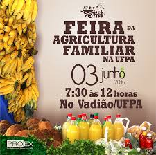 Este vídeo trata sobre o funcionamento do site e as opções de pesquisa. Proex Proexufpa Twitter