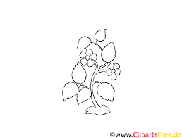 Ein briefkopf wort vorlage kann dabei helfen. Pflanze Blume Holz Vorlage Zum Aussagen