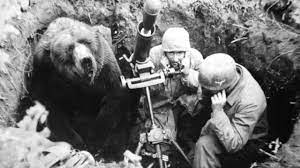 The Heart-Melting Story Of Wojtek, The Soldier Bear - YouTube