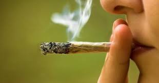 ‫8 أضرار لتعاطى مخدر الحشيش.. اعرف التفاصيل - اليوم السابع‬‎