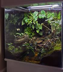 Pin Auf Aquarien