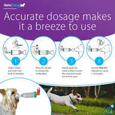 * don't smoke near pets. Pin On Lung And Bronchial Supplement