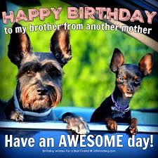 Happy birthday quotes brother from another mother. 30 Birthday Wishes For A Best Friend Allwording Com