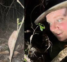 Elizabeth Every (MSc, BSc Hons, APHP, MRSB, CHA)