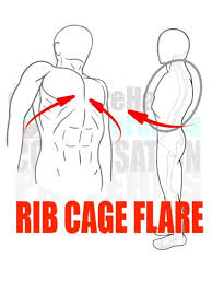 Give the anatomical name for the following: What S A Rib Flare And What Does It Mean Integrate 360 Physical Therapy