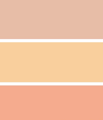 Apricot Kann In Verschiedenen Nuancen Vorkommen Wandfarbe Pastell Wandfarben Orange Farbpaletten