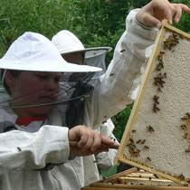 Dazu wird ein speziell honigschleudern ist eine arbeit, die fix vonstatten gehen sollte, da das schleudern umso schwerer. Honig Schleudern Die Sa Bienen Imkerei Schloss Hamborn