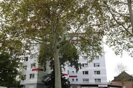 Das portal für baufinanzierung und immobilien der sparkassen. Wohnungen Rheinhausen Mitte Ohne Makler Von Privat Homebooster