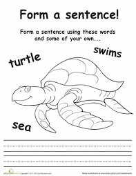 Sea Turtle Sentences Worksheet Education Com Reading Comprehension Kindergarten Sentence Writing Sentences