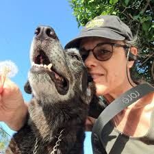 TOP 10 BEST Small Animal Veterinary Care in San Fernando Valley, CA