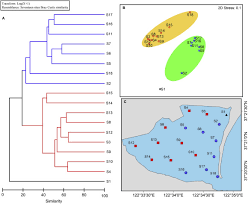 28/1999 privind obligaţia operatorilor economici de a utiliza aparate de marcat electronice fiscale a fost publicata in. Macrobenthos Functional Trait Responses To Heavy Metal Pollution Gradients In A Temperate Lagoon Sciencedirect