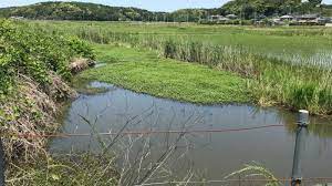 個人撮影 熟女 レイプ 無修正 人妻 中出し 近親相姦 jk 閲覧注意 素人 中に出さないで 五十路 バレないように 盗撮 巨乳 リベンジポルノ 寝取られ オナニー. ãƒŠã‚¬ã‚¨ãƒ„ãƒ«ãƒŽã‚²ã‚¤ãƒˆã‚¦ãŒã‚ã‚‹åƒè'‰çœŒã«è¦–å¯Ÿã«ã„ã£ã¦ãã¾ã—ãŸ ã„ãªã¿é‡ŽãŸã‚æ± ãƒŸãƒ¥ãƒ¼ã‚¸ã‚¢ãƒ 