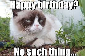 We did not find results for: 100 Best Happy Birthday Cat Memes Images