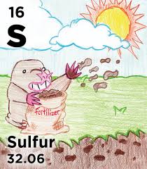 Pin On Periodic Table