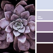 Radiant orchid was the pantone color of the year 2014 and marsala for the year 2015 and ultra violet is the color for 2018. Dark Purple Color Palette Ideas