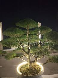 Jun 29, 2021 · tribuntravel telah merangkum dari berbagai sumber, berikut enam tempat wisata di bandungan yang wajib traveler kunjungi. Istana Kuliner Bandungan Restaurant Reviews Photos Phone Number Tripadvisor