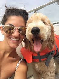 Posts with replies by Gene Monaco (@GeneMonaco1)