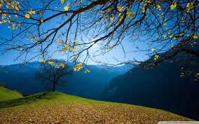 Autumn In Switzerland Nature Photos Desktop Wallpapers Beautiful Nature Wallpaper Hd Nature Wallpapers Switzerland Wallpaper