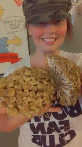 What is this garden plant and how to harvest/eat it?