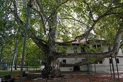 Veka počeo je da saobraća tramvaj. Topcider Wikipedia
