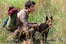 Our database has everything you'll ever need, so enter & enjoy ;) Dylan O Brien S Love And Monsters To Premiere On Vod