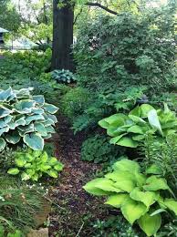 Woodland Garden Design Ideas Woodland Garden Shade Garden Woodland Plants
