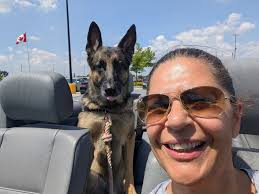 Dog showing affection to someone else