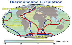 Thermohaline Circulation Wikipedia